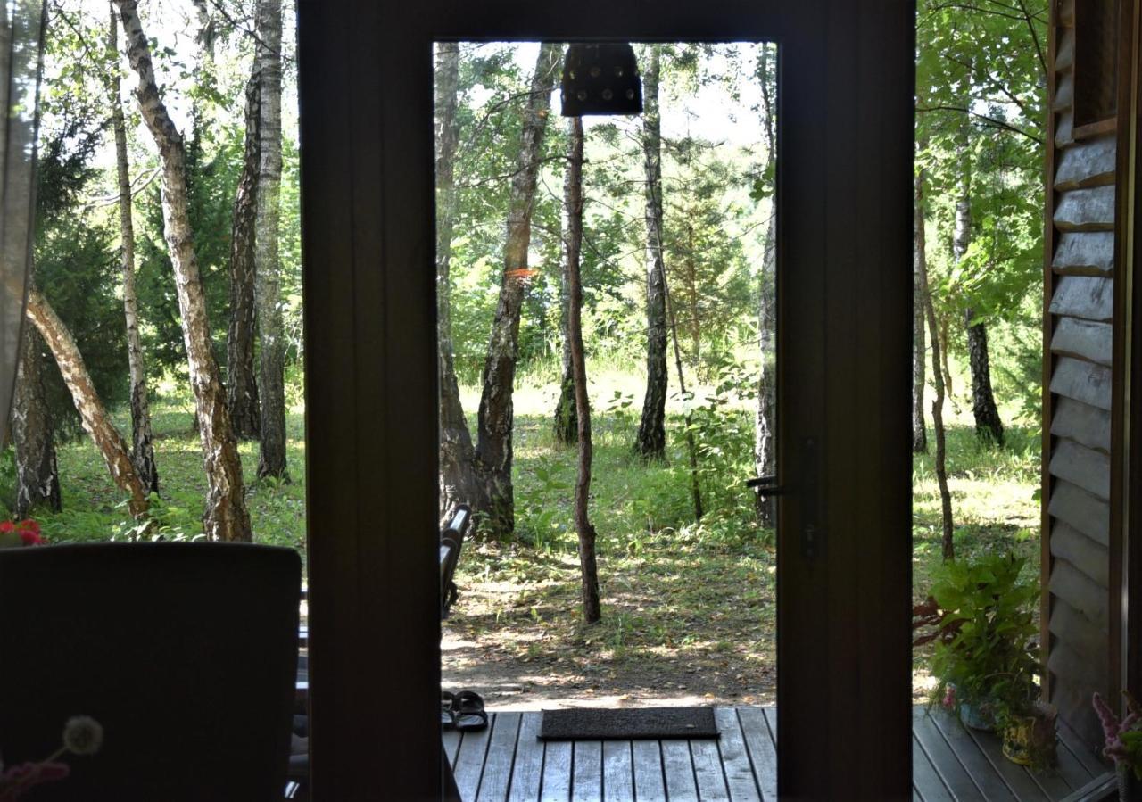 Berzu Namelis - Birch Cabin Kutsyuny Exterior photo