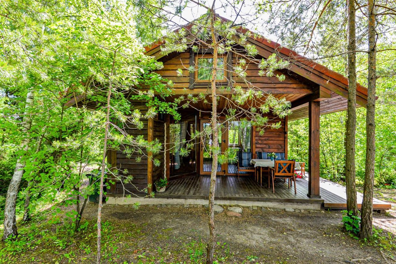 Berzu Namelis - Birch Cabin Kutsyuny Exterior photo
