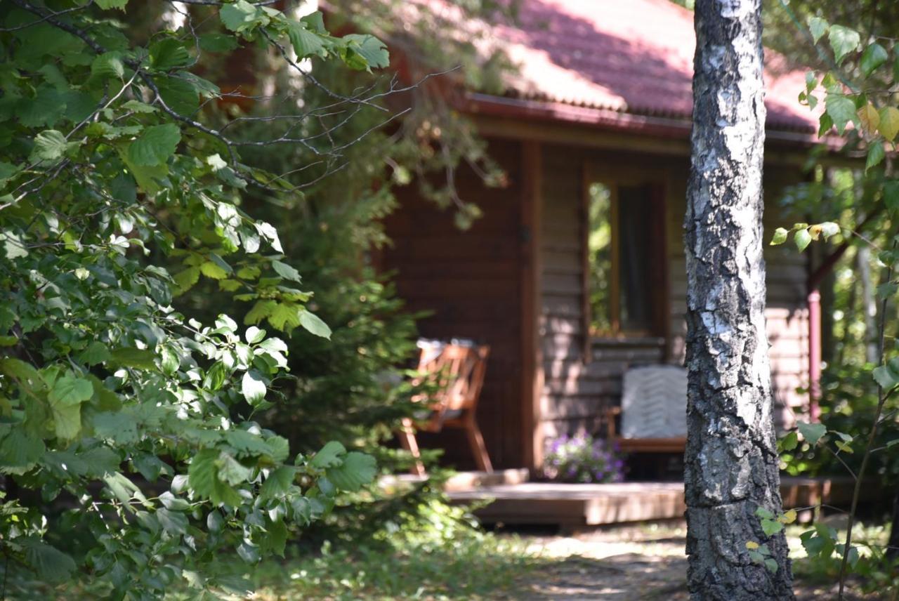 Berzu Namelis - Birch Cabin Kutsyuny Exterior photo