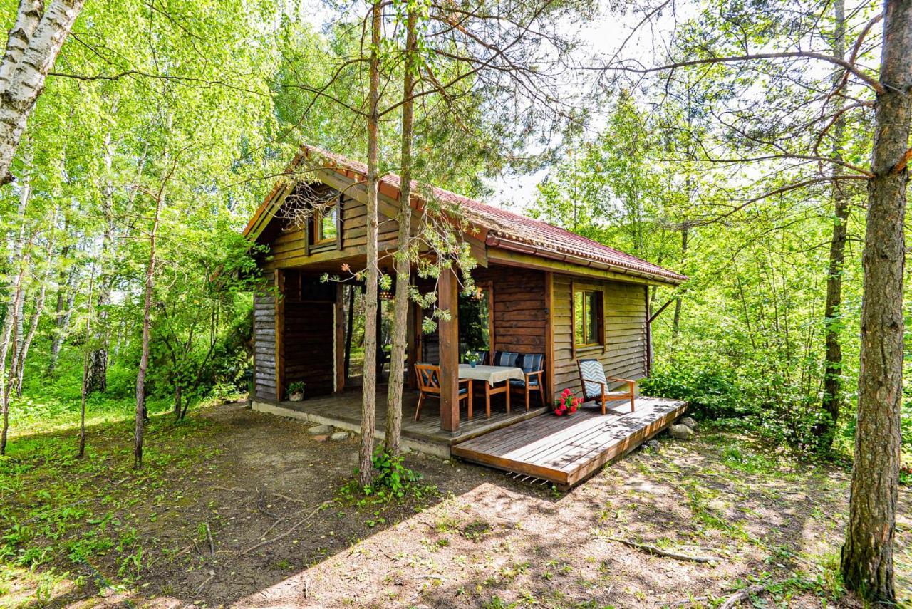 Berzu Namelis - Birch Cabin Kutsyuny Exterior photo