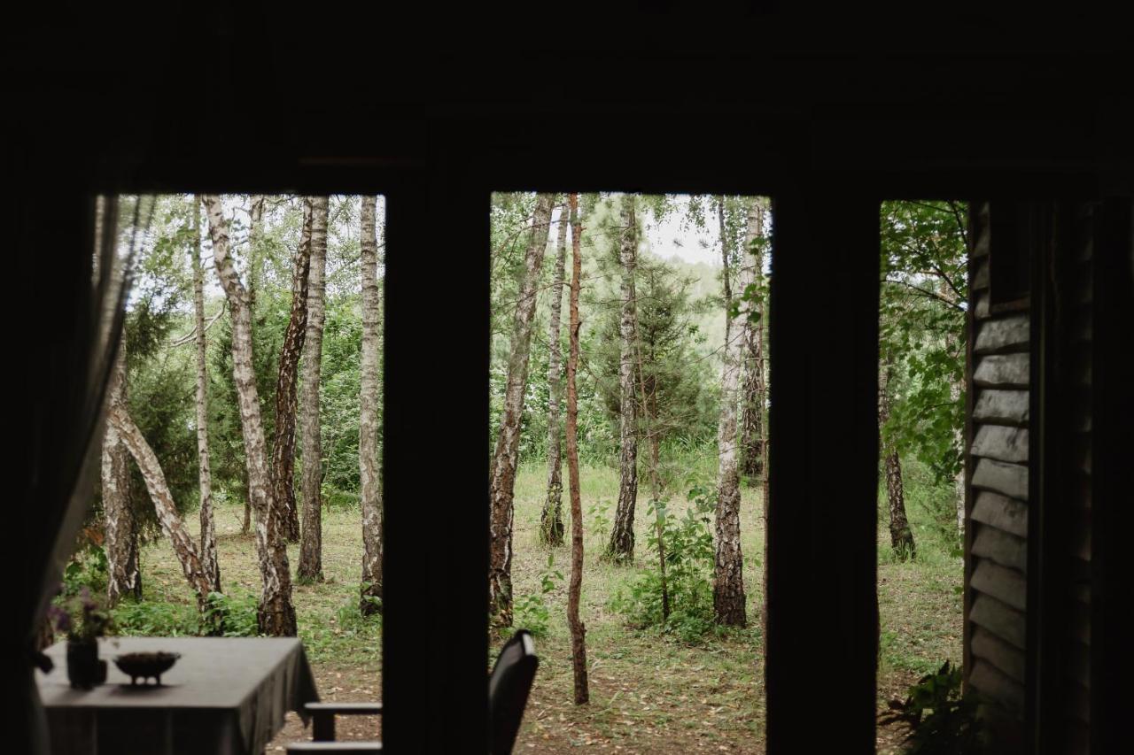 Berzu Namelis - Birch Cabin Kutsyuny Exterior photo