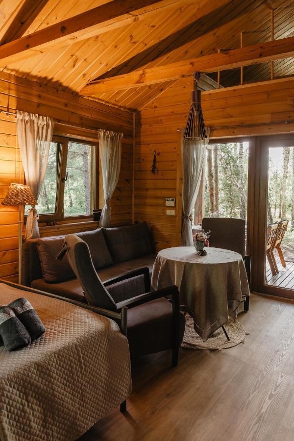 Berzu Namelis - Birch Cabin Kutsyuny Exterior photo