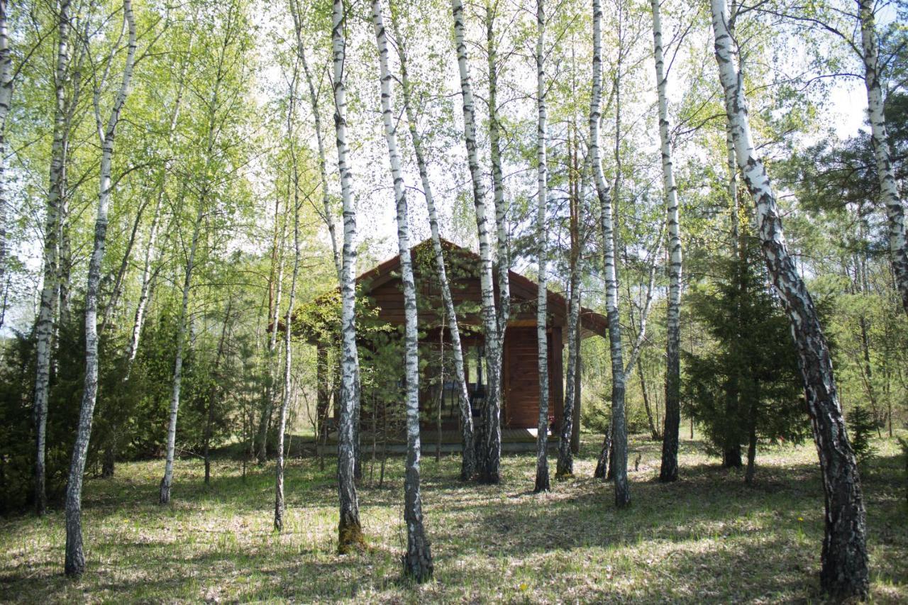 Berzu Namelis - Birch Cabin Kutsyuny Exterior photo